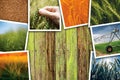 Wheat farming in agriculture photo collage Royalty Free Stock Photo