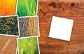 Wheat farming in agriculture photo collage Royalty Free Stock Photo