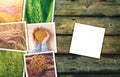 Wheat farming in agriculture photo collage Royalty Free Stock Photo