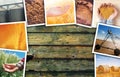 Wheat farming photo collage Royalty Free Stock Photo