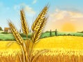 Wheat field