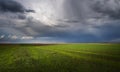 Wheat field adn sky in early summer