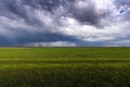 Wheat field adn sky in early summer