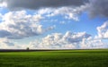 Wheat field against blue sky with white clouds. Agriculture scene Royalty Free Stock Photo
