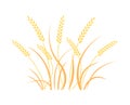 Wheat Field Background. Cereals Icon Set.