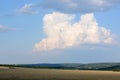 Wheat field and big fluffy cloud in the sky. Summer rural landscape Royalty Free Stock Photo