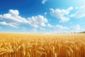 Wheat field and blue sky with clouds. Rich harvest Concept, Golden wheat field landscape view on a sunny day, AI Generated Royalty Free Stock Photo