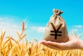 Wheat field and chinese yuan or japanese yen money bag. Grains and cereals deficits, livestock feed. Agroindustry and the