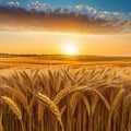 wheat field close up in photorealistic landscape