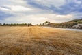 Wheat field in the countryside after harvest season, almond trees at the background, dramatic sky at sunset time, Huesca, Aragon, Royalty Free Stock Photo