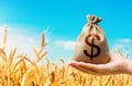 Wheat field and dollar money bag. Agroindustry and the agricultural business. World food security crisis, high prices. World Royalty Free Stock Photo