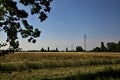 Wheat field with electricity pylons in summer at sunset Royalty Free Stock Photo