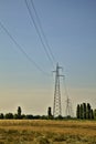 Wheat field with electricity pylons in summer at sunset Royalty Free Stock Photo