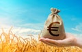 Wheat field and euro money bag. Agricultural business. World hunger.