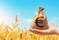 Wheat field and euro money bag. Agroindustry and the agricultural business. World hunger. Grains and cereals deficits, livestock