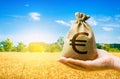 Wheat field and euro money bag. Food security and fight against hunger. Agroindustry business. Investments in agricultural complex