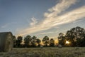 Wheat field after harvest with round straw bales in the meadow o Royalty Free Stock Photo