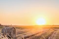 Wheat field after harvest with straw bale in light of the low evening sun backlight. Hay rolls on the sunset Royalty Free Stock Photo