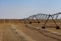 Wheat field harvested with pivot irrigation system