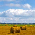 wheat field with haystack after a harvest Royalty Free Stock Photo