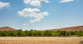 Wheat field in Kurdistan province, iran