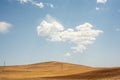 Wheat field in Kurdistan province, iran