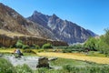 Wheat field located in Markha Valley, Ladakh region, India Royalty Free Stock Photo