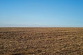 Wheat field landscape, empty field after harvest. blue - yellow landscape, field and sky. Horizon Royalty Free Stock Photo