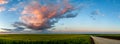 Wheat field landscape with path before the sunset time Royalty Free Stock Photo