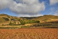 Wheat field and mountains Royalty Free Stock Photo