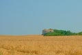 Wheat field with old world war two bunker Royalty Free Stock Photo