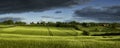 Wheat Field with rain cloud overhead