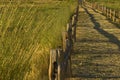 Wheat Field Path Royalty Free Stock Photo