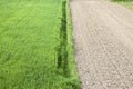 Wheat field and plowed land. Royalty Free Stock Photo