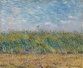 Wheat Field with Poppies and Lark, 1887 by Van Gogh Royalty Free Stock Photo