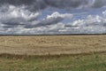 Wheat field before the rain. dark sky with clouds Royalty Free Stock Photo