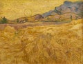 Wheat field with reaper and sun, painting by Vincent Van Gogh Royalty Free Stock Photo