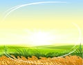 Wheat field. Rural hills and meadows. Scenery. Horizon. Pasture grass for cows and a place for vegetable gardens and