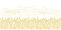Wheat field. Rural landscape panorama. Agriculture cereal harvest. Dry grass meadow. Contour vector line. Bread wrapper