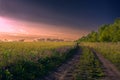 Wheat field, rural road, breathtaking sunset, landscape Royalty Free Stock Photo