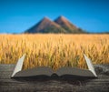 The wheat field with slagheap on the pages of book Royalty Free Stock Photo