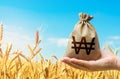Wheat field and south korean won money bag. Agricultural business. World hunger. Grains and cereals deficits, livestock feed.