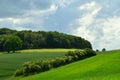 Wheat field in spring, beautiful landscape, green grass and blue sky. Germany. Royalty Free Stock Photo