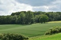 Wheat field in spring, beautiful landscape, green grass and blue sky. Germany. Royalty Free Stock Photo