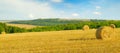 Wheat field with straw bales and sky. Wide photo