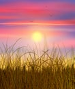 Wheat field sunset watercolor painting realistic illustration Royalty Free Stock Photo