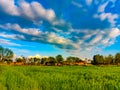 Wheat field at sunset, sun flare, backlight And Cloudy Sky.Rainy Day.Sun Reflection. Royalty Free Stock Photo