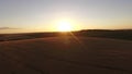Wheat field at sunset. Sunny wheat field