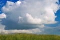 Wheat field under blue sky with clouds. Rural landscape Royalty Free Stock Photo