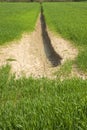 Wheat field with vast unproductive areas